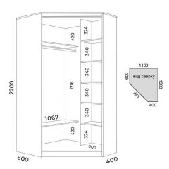 Шкаф-купе ХИТ-У-R-22-64-11 | фото 2