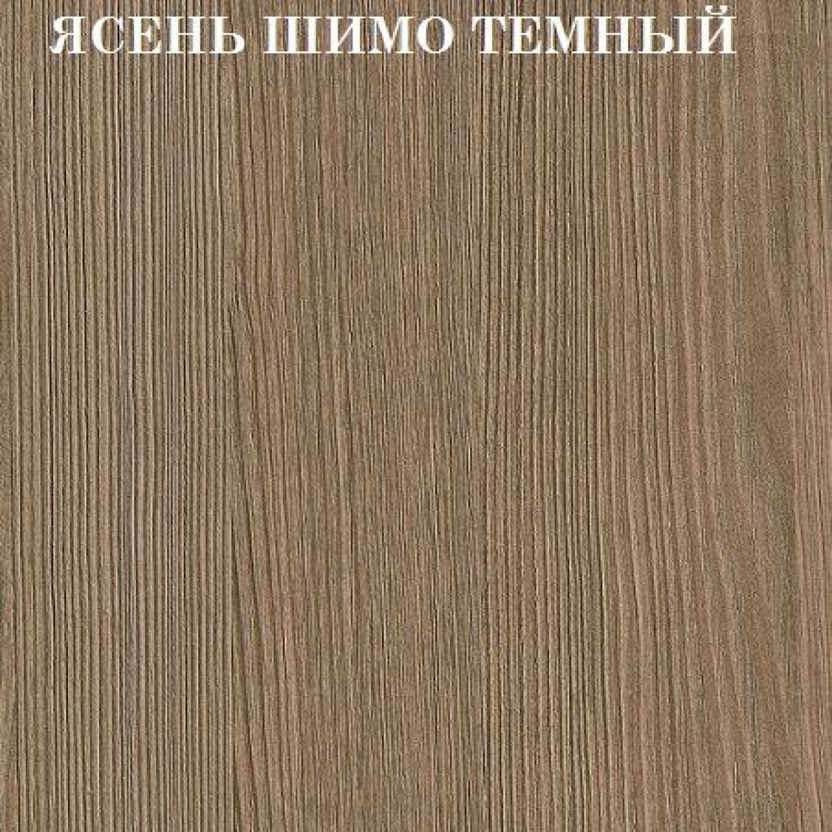 Кровать 2-х ярусная с диваном Карамель 75 (АРТ) Ясень шимо светлый/темный | фото 5