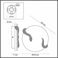 Накладной светильник Odeon Light Snake 7033/10WL | фото 4