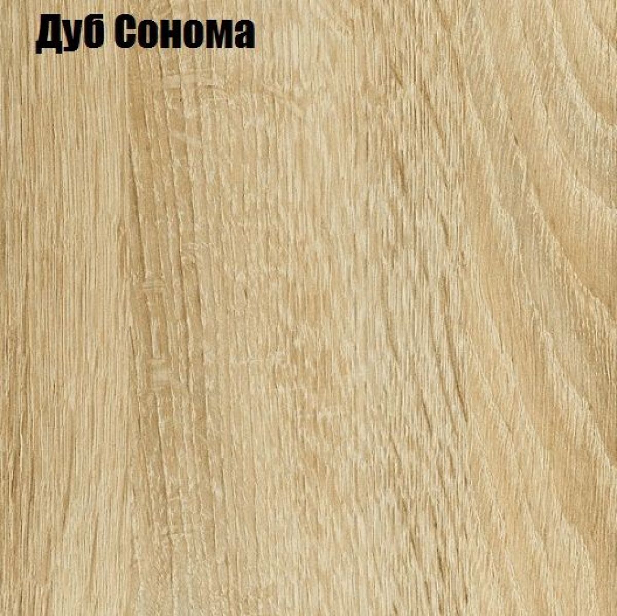 КИМ Пенал открытый | фото 6